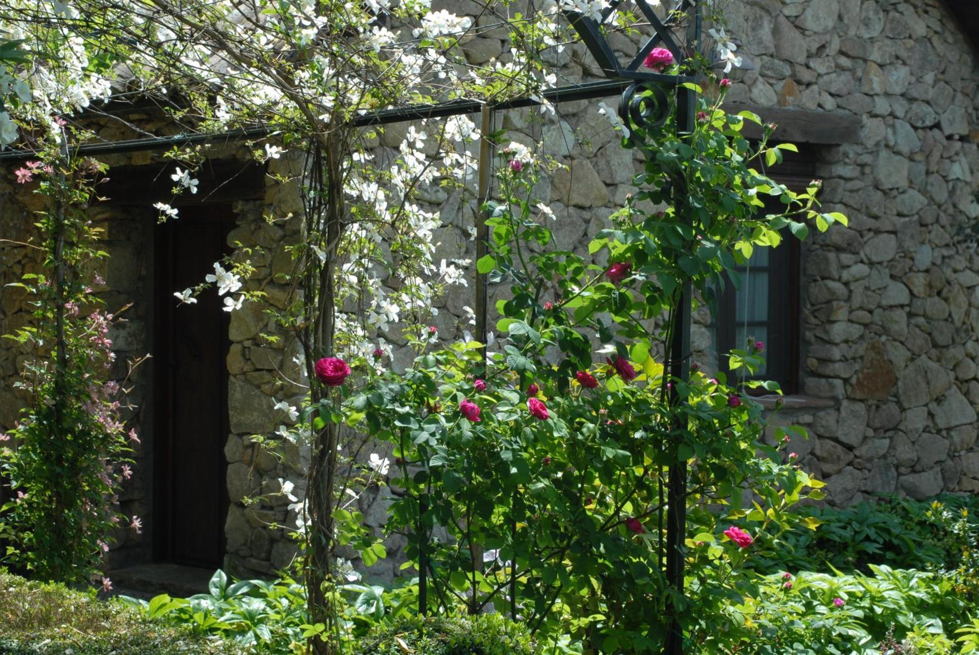 El Jardin Del Convento, Casa Rural Hervás Exterior foto